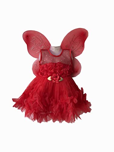 LITTLEWINGS Baby Girl Pari Frock for Party Festive Birthday Occasions