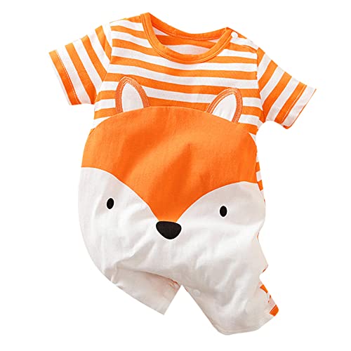Hopscotch Baby Boys Cotton Graphic Print Romper in Orange Color For Ages 3-6 Months (YYG-3995378)