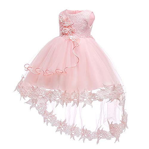 Baby Toddler Lace Dress Girls First Baptism Elegant Embroidery Wedding Party Flower Bridesmaid Dresses Up