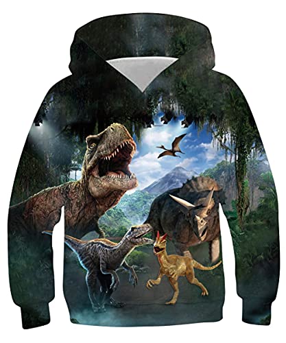 Belovecol Teens Boys Hoodies Kids Big Pocket Hoodie 3D Jungle Dinosaurs Graphic Hooded Pullover Sweatshirt for Sports Running School 12-14 Years