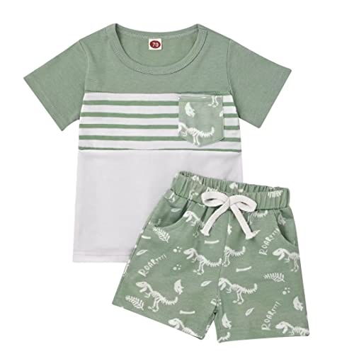 Toddler Baby Boy Clothes Boys Summer Outfits Short Sleeve Dinosaur T-Shirt & Shorts Set 2Pcs, Green, 2T/3T