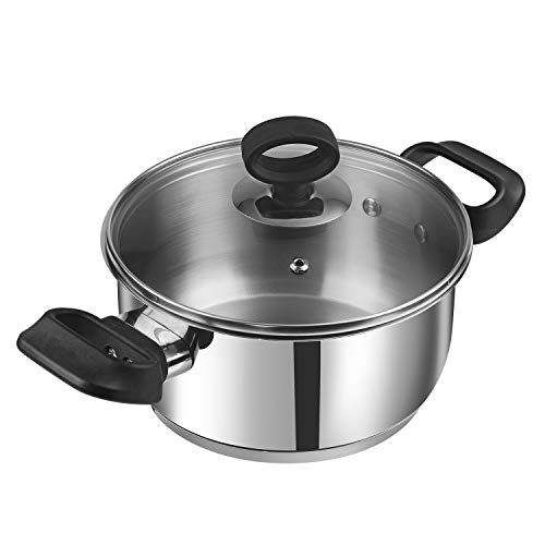 Vinod Stainless Steel Deluxe Saucepot with Glass Lid - 5.2 Litre, 24 cm | Biryani Pot | Riveted Sturdy Handles | Toxin Free | 2 Year Warranty | Induction and Gas Base - Silver