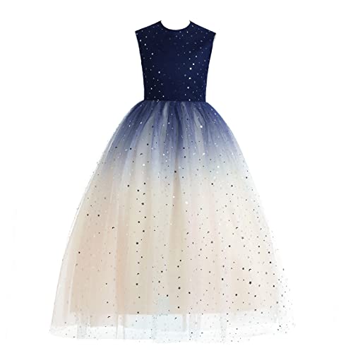 Glamulice Halloween Costume Princess Sparkle Tulle Dress Flower Girls Ombre Dresses Lace Bridesmaid Party Dance Prom Ball Gown for Wedding Pageant Holiday Special Occasions 150-11/12 Navy+Champagne