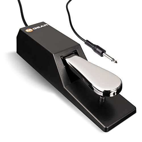 M-Audio SP-2 |Universal Sustain Pedal with Piano Style Action, The Ideal Accessory for MIDI Keyboards, Digital Pianos, Electronic Keyboards & More