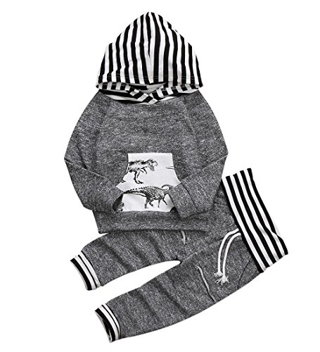 Ma&Baby Toddler Infant Baby Boys Dinosaur Long Sleeve Hoodie Tops Sweatsuit Pants Outfit Set (2-3 Years)