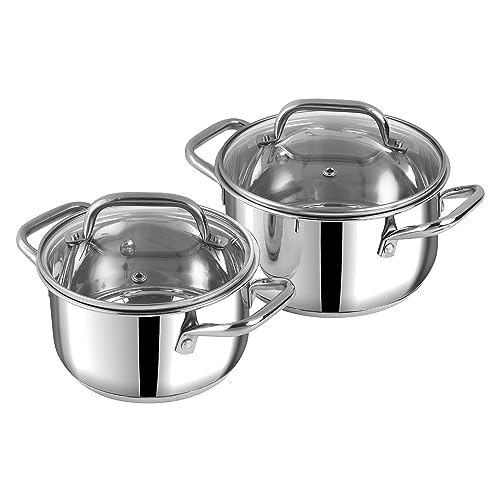 Vinod Mainz Stainless Steel Cookware set of 2 | 1.2 and 2 Litre Saucepot with Glass Lid | SAS Bottom | Biryani Pot | Induction and Gas Base | 2 Year Warranty - Silver